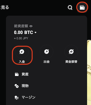 入金
