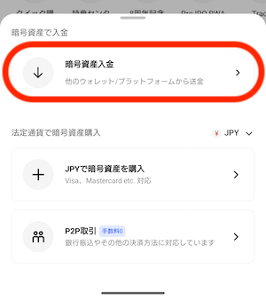 入金