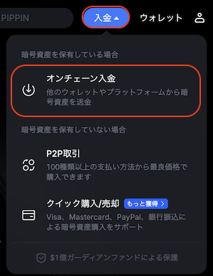 入金